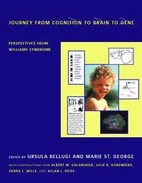 bokomslag Journey from Cognition to Brain to Gene