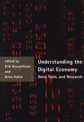 bokomslag Understanding the Digital Economy