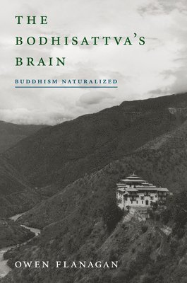 bokomslag The Bodhisattva's Brain