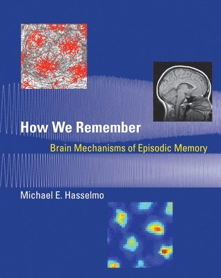 Boston University) Hasselmo, Michael E. (Professor, Michael E. Hasselmo - How We Remember, Häftad