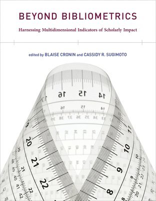 bokomslag Beyond Bibliometrics