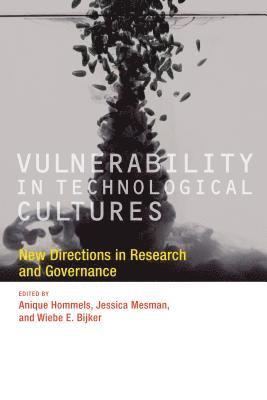 Anique Hommels, Jessica Mesman, Wiebe E. Bijker - Vulnerability in Technological Cultures, Häftad