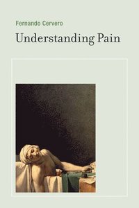 bokomslag Understanding Pain