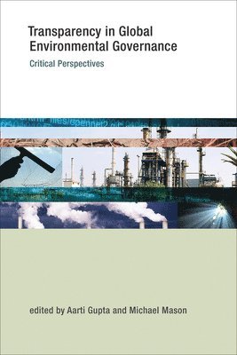 Aarti Gupta, Michael Mason - Transparency in Global Environmental Governance, Häftad