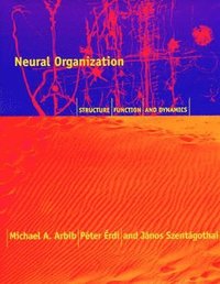bokomslag Neural Organization