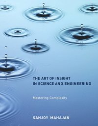 bokomslag The Art of Insight in Science and Engineering