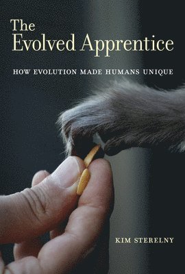 The Evolved Apprentice 1