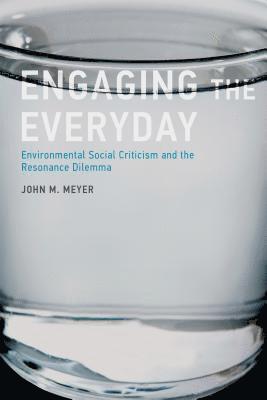 John M. Meyer - Engaging the Everyday, Häftad