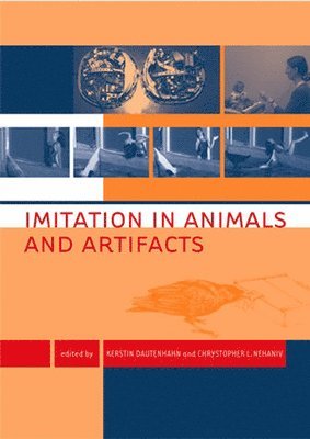 Kerstin Dautenhahn, Chrystopher L. Nehaniv - Imitation in Animals and Artifacts, Häftad