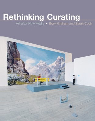 Beryl Graham, Sarah Cook - Rethinking Curating, Häftad