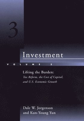 Dale W. Jorgenson, Kun-Young Yun - Investment, Häftad