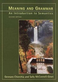 bokomslag Meaning and Grammar, second edition