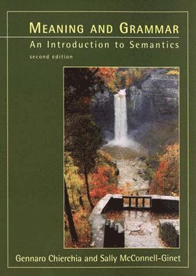 bokomslag Meaning and Grammar, second edition