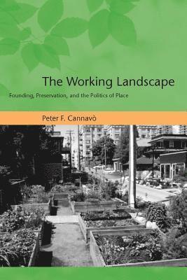 bokomslag Working Landscape