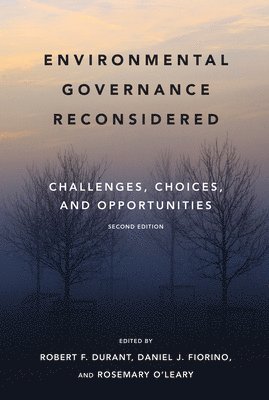 bokomslag Environmental Governance Reconsidered