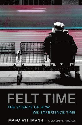 Felt Time 1