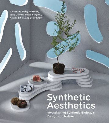 Synthetic Aesthetics 1