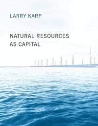 bokomslag Natural Resources as Capital