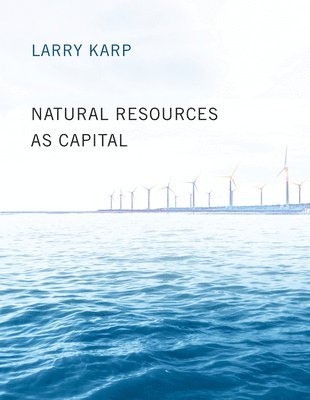 bokomslag Natural Resources as Capital