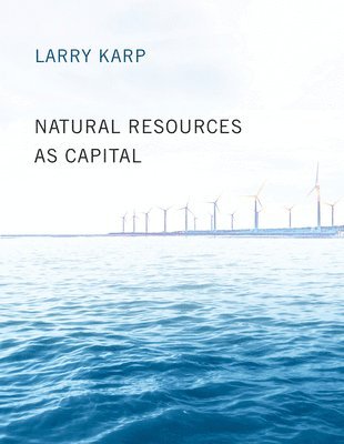 Larry Karp - Natural Resources as Capital, Häftad