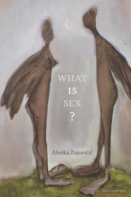 Alenka Zupancic - What IS Sex?, Häftad