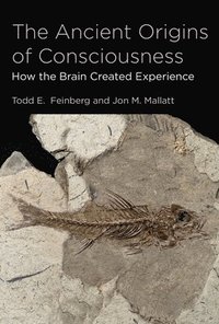 bokomslag The Ancient Origins of Consciousness