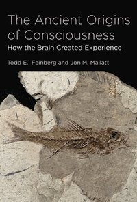 bokomslag The Ancient Origins of Consciousness: How the Brain Created Experience /]ctodd E. Feinberg, and Jon M. Mallatt