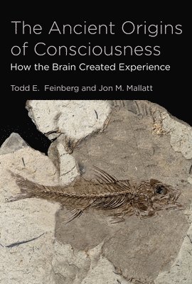 bokomslag The Ancient Origins of Consciousness: How the Brain Created Experience /]ctodd E. Feinberg, and Jon M. Mallatt