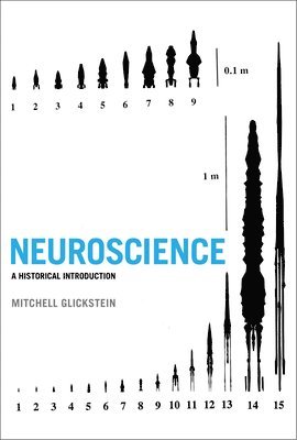 Neuroscience 1