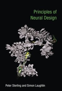 bokomslag Principles of Neural Design