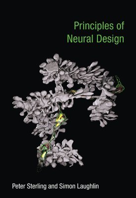 Principles of Neural Design 1