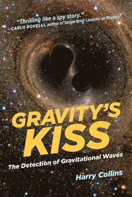 bokomslag Gravity's Kiss
