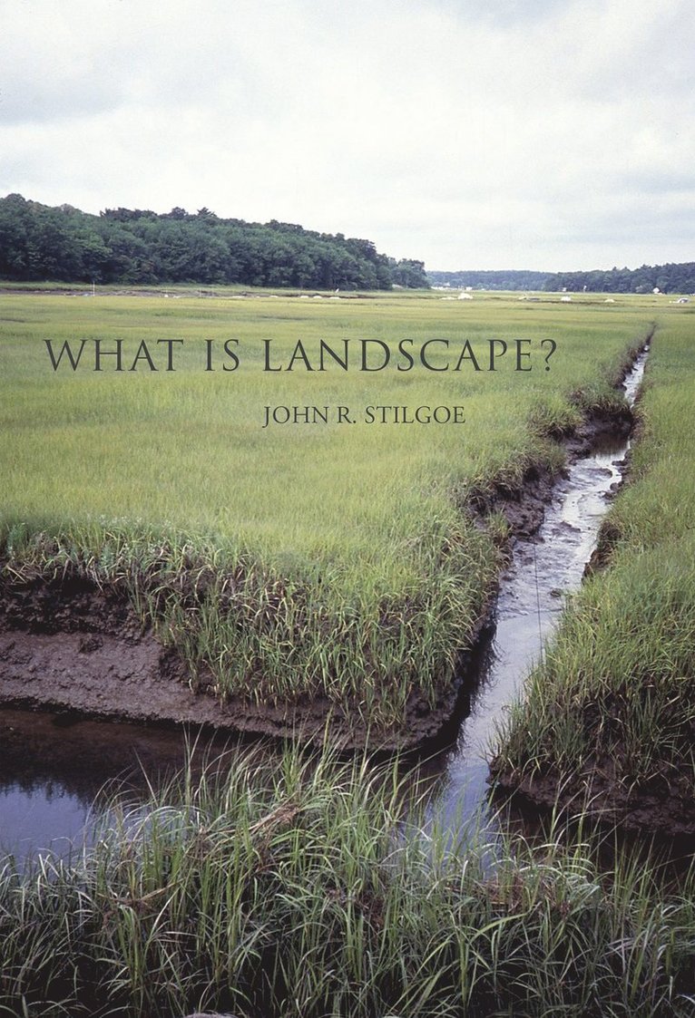 What Is Landscape?