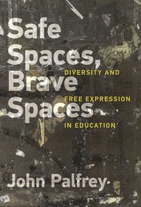 bokomslag Safe Spaces, Brave Spaces