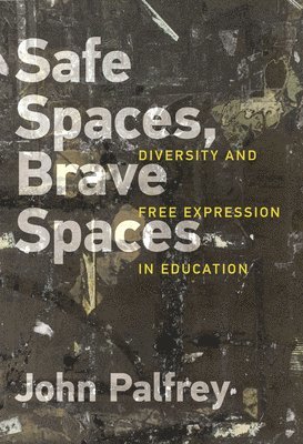 Safe Spaces, Brave Spaces 1