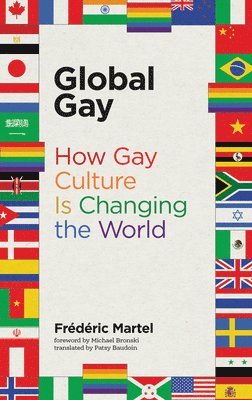 bokomslag Global Gay