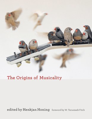bokomslag Origins of Musicality