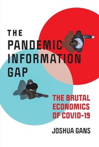 bokomslag Pandemic Information Gap and the Brutal Economics of COVID-19