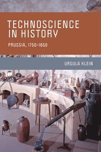 bokomslag Technoscience in History