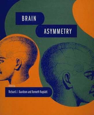 Brain Asymmetry