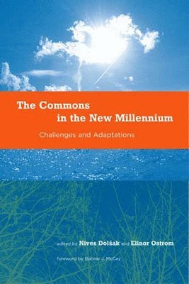Nives Dolšak, Elinor Ostrom - Commons in the New Millennium, Häftad