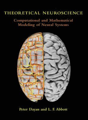 Peter Dayan, Laurence F. Abbott - Theoretical Neuroscience, Häftad
