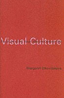 bokomslag Visual Culture