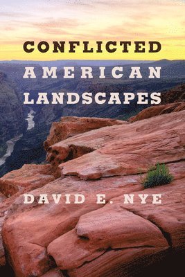 bokomslag Conflicted American Landscapes