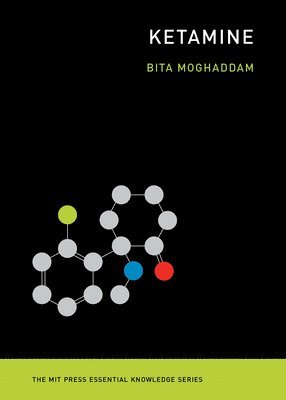 Bita Moghaddam - Ketamine, Häftad