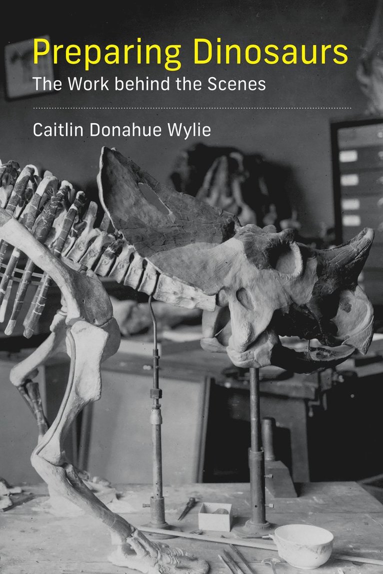 Caitlin Donahue Wylie - Preparing Dinosaurs, Häftad