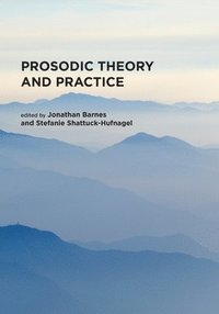 bokomslag Prosodic Theory and Practice