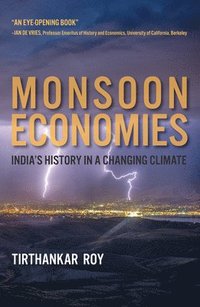 bokomslag Monsoon Economies
