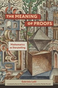 bokomslag The Meaning of Proofs