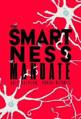 bokomslag The Smartness Mandate